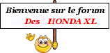Bonjour (HONDA 125 XLR  1983 ) 3138783321